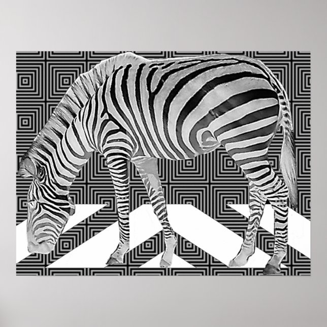 True Zebra Poster Print (Front)