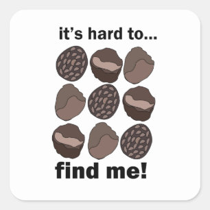 Truffle Fungi Mushroom It's Hard To Find Me Funny Square Sticker