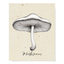 Truffle mushroom