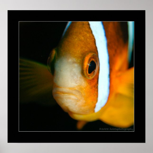 Truk Yamagiri Maru 009bbcr Poster (Front)