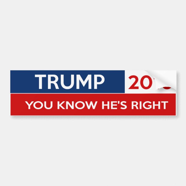 Trump 2016 - You Know He's Right Bumper Sticker (Front)