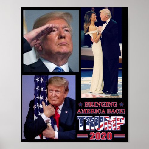Trump 2020 Bringing America Back Poster