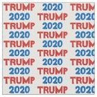 Trump 2020 Fabric