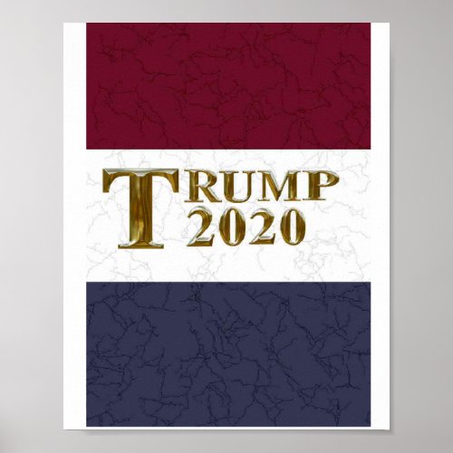 TRUMP 2020 POSTER