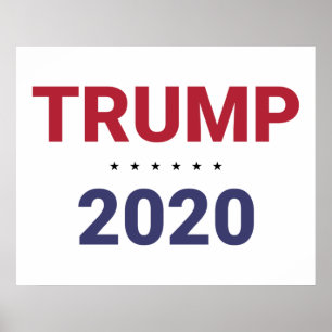 Trump 2020 (US Election) Poster