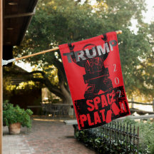 Trump 2024 Election Space Force Yard Flag