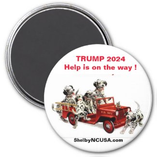 TRUMP 2024 Help is on the way ! magnet