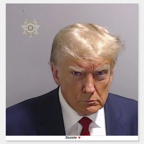 Trump 2024 Mug Shot HUGE STICKER Says It All Sticker