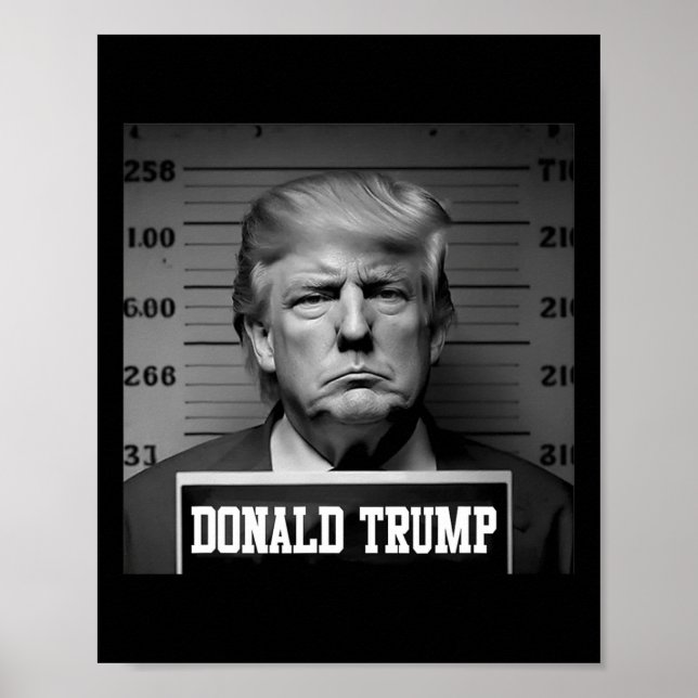 Trump 2024 Mugshot Trump Mug Shot President  Poster (Front)
