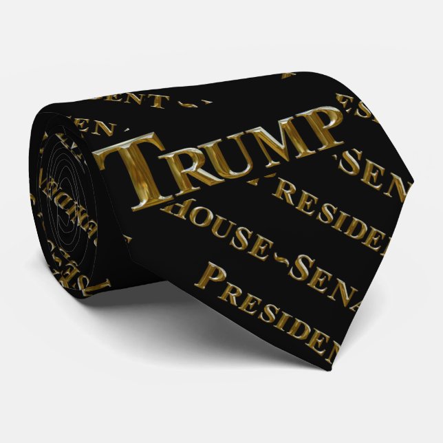 TRUMP 2024 NECK TIE (Rolled)