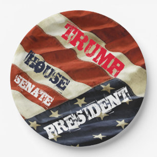 TRUMP 2024 PAPER PLATES