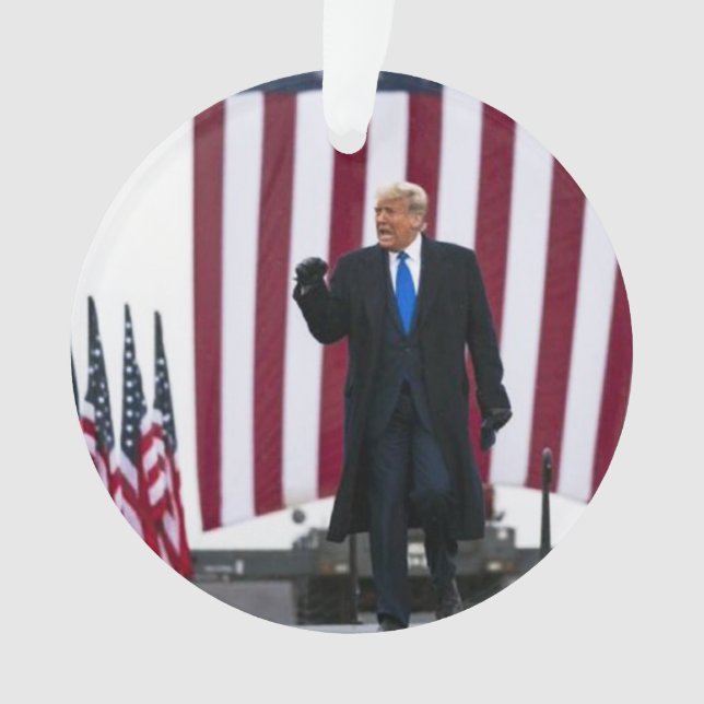 Trump 2024 Take Ameica Back Ornament (Front)
