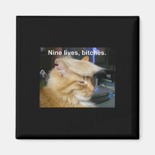 Trump Cat Nine Lives Funny Trump 2024 Vote Electio Magnet