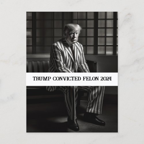 Trump Convicted Felon 2024 Black and White Postcard