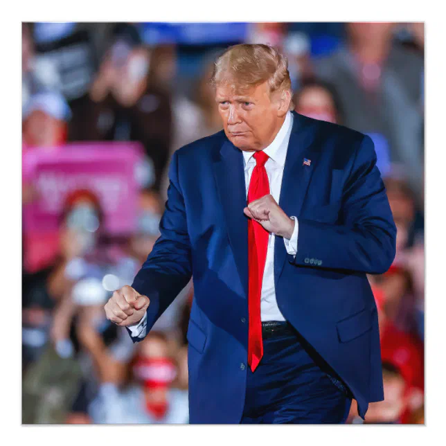 trump_dance_funny_photo_print-rd8a6d702a