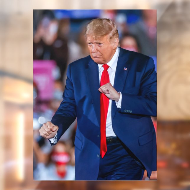 Trump Dance Funny Window Cling (Sheet 2)