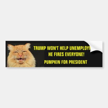 Trump Fires Everyone  Pumpkin For President Bumper Sticker by talkingbumpers at Zazzle