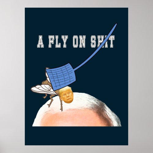 Trump Fly on Pence Head with Flyswatter ZFJ Poster