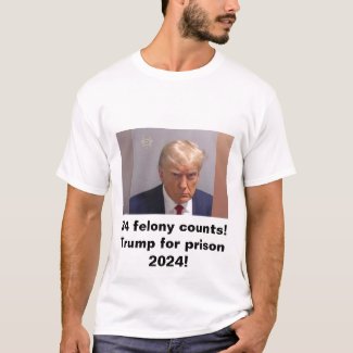 Trump for prison 2024 34 felony counts