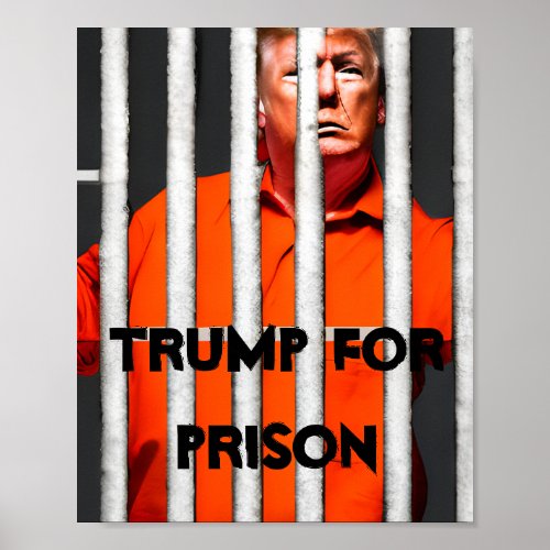 Trump For Prison Poster