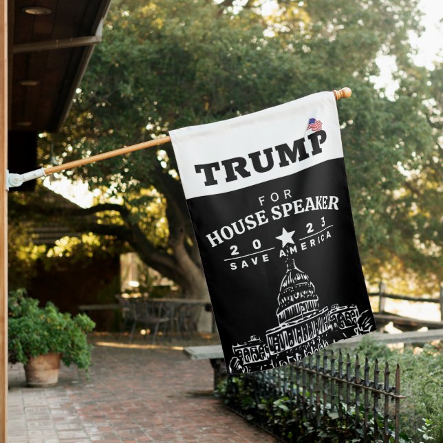 TRUMP for Speaker of the House Flag (In SItu)