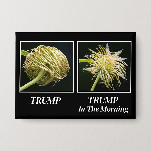 Trump Hair Button (Front)