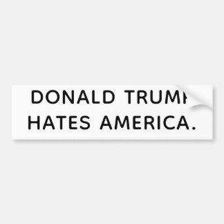 TRUMP HATES AMERICA Hankamer Artjunkhaus COMIC ART Bumper Sticker