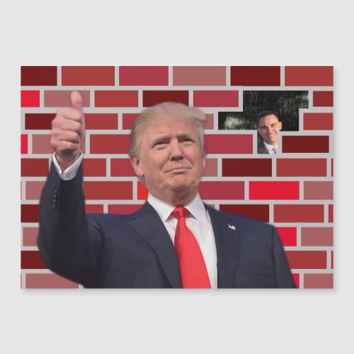 Trump Hole in Trumps Wall Funny Gag
