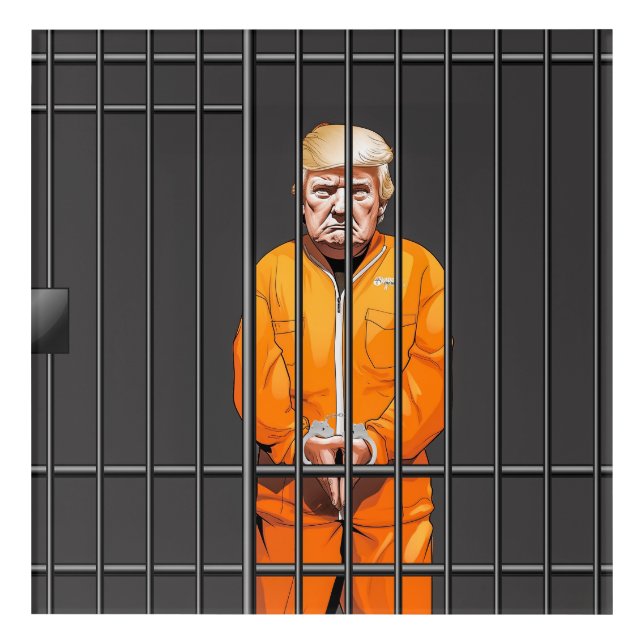 Trump in Jail Acrylic Wall Art, 12" x 12"  Print (Front)