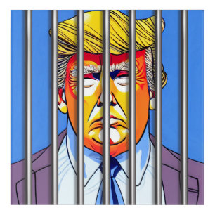 Trump in Jail Acrylic Wall Art, 12" x 12"  Print