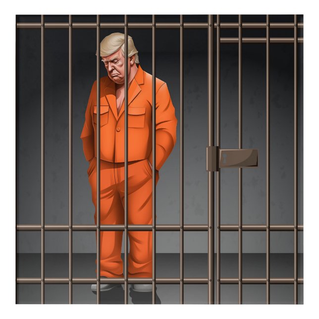 Trump in Jail Acrylic Wall Art, 12" x 12"  Print (Front)