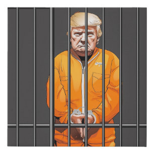 Trump in Jail Faux Wrapped Canvas Print 10” x 10”
