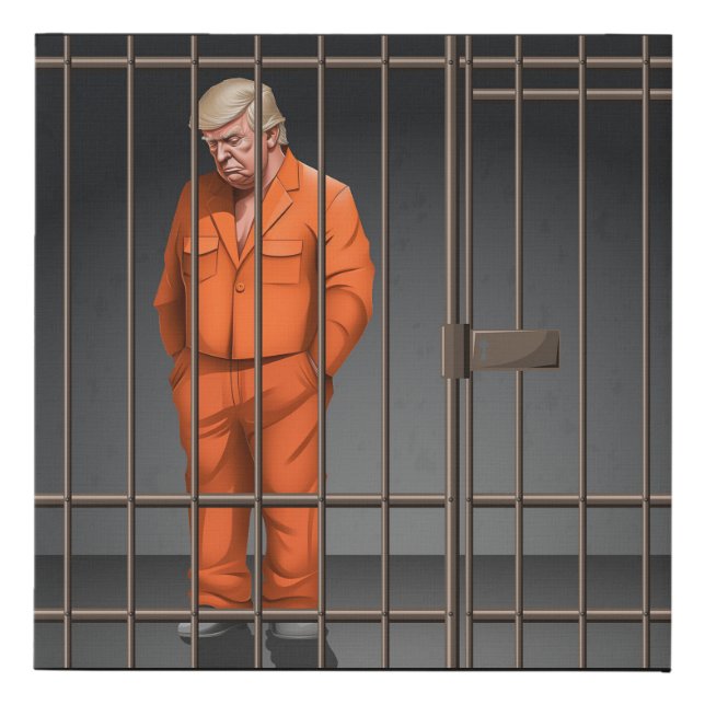 Trump in Jail Faux Wrapped Canvas Print 10” x 10” (Front)
