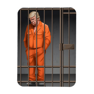 Trump in Jail Flexible Photo Magnet