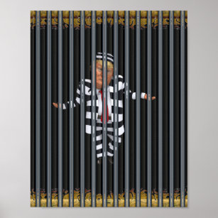 Trump in Prison Wear Poster