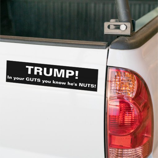 Trump In Your Guts You Know He S Nuts Bumper Sticker Zazzle