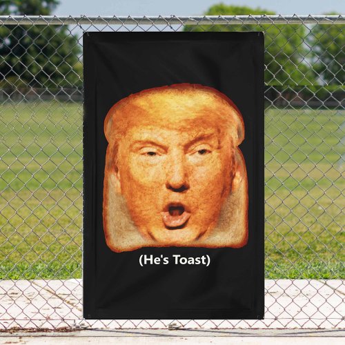 Trump Is Toast _ Lock Him Up Anti Trump Banner
