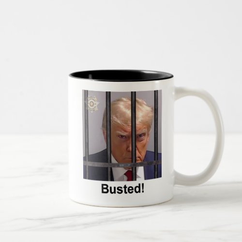 Trump Mug Busted mugshot