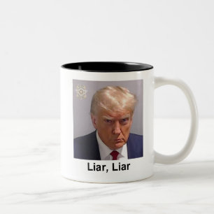 Trump Mug "Liar, Liar" mugshot