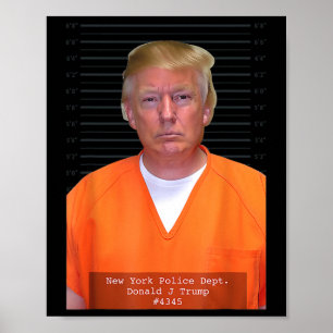 Trump Mug Shot Range Jumpsuit Parody Behind Bars Poster