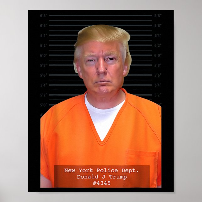 Trump Mug Shot Range Jumpsuit Parody Behind Bars  Poster (Front)
