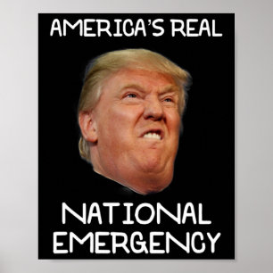 Trump National Emergency T Shirt Trump Is The Emer Poster