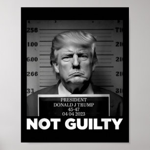 Trump Not Guilty Mug Shot Free Trump I Stand With  Poster