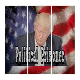 Trump Political Prisoner Triptych