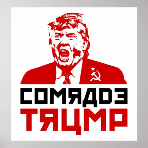 Trump Protest Poster 2017 COMRADE TRUMP