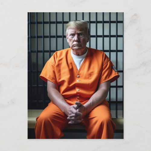 Trump Sits in a Prison Cell Postcard