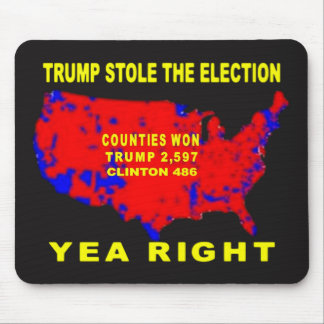 TRUMP STOLE THE ELECTION MOUSE PAD