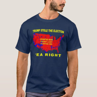 TRUMP STOLE THE ELECTION T-Shirt