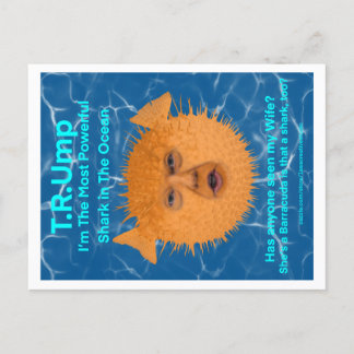 Trump The Blowfish Postcard