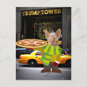 TRUMP TOWER PIZZA DELIVERY CAT POSTCARDS